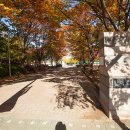 일산근린공원 화장실 이미지