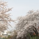 강원도청반비어린이집 이미지