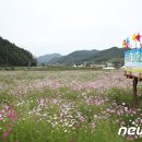 구룡천1 이미지