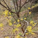26.3.27.13.30.배산역.배산.물만골역.(길사랑) 이미지
