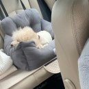 언더아멍 이미지