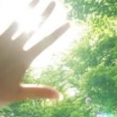오아시스휘트니스
