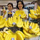 밀도 현대백화점 압구정본점 - 5805 | 밀도 현대백화점 압구정본점