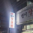 현이양이 이미지