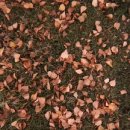 구명한의원 이미지