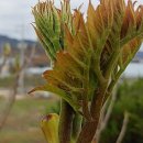 정만농장 이미지