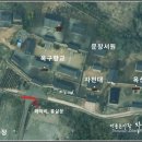 유림-1023 | 紫泉臺(자천대) 배롱나무