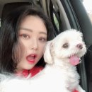 최광호동물병원 네이버블로그