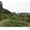 그냥 떠난 .... 장성 - 축령산 [치유의숲] 이미지