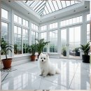 행신동물병원 | 행신 말티즈분양 똑똑하게 알아보는 필수 체크리스트 실패 없는 입양 가이드