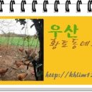 이석구농장 이미지