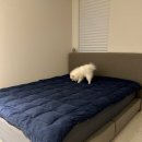 신일사세탁소 | 누잠 토퍼 매트리스 1년 사용 후기_ 구름처럼 푹신한, 누우면 꿈나라 직행~