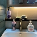 제주코기네 이미지