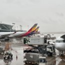 아시아나항공 열린조종사 노동조합 | [단독] 조종사들의 경고⋯ “소비자 이익 VS 항공 사고 현실화” 충돌