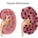 푸른동물병원 이미지