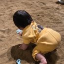 (주)정도물산 | 용인 대형 카페 2살, 4살 아이랑 깔끔한 모래놀이 카페 8794 후기