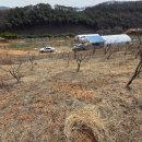 나무부동산공인중개사사무소 이미지