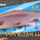 남창낚시터 이미지