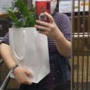 국수나무세종도담점 이미지