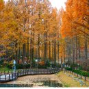 장태산휴양림 이미지