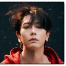 경희야생화 | 박효신 7년 만의 귀환, 신보 트랙리스트와 콘서트 매진 소식