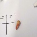 뉴욕브레이스치과의원 이미지