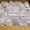 밤실농장 이미지