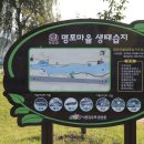 (임당2리)명포습지