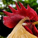 일루와농장 이미지