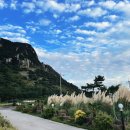 제주542펜션 이미지