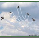 그날, 꽃피는 청춘 이미지