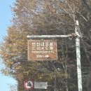 「 인천 / 인천대공원 」 인천 단풍/은행나무 명소로 유명한 ' 인천대공원 ' 다녀온 후기🍁(11월9일현황)