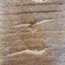 사기막골로 31번길 이미지