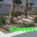 청운조경 이미지