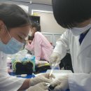 (주)아이오드 이미지