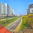 천안천9길 이미지