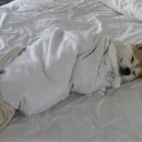 즐거운우리집 이미지