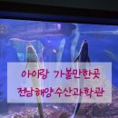 민주수산 | 여수 아이랑 가볼만한곳 전라남도 해양수산과학관 관람후기
