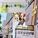 [서울] 동대문 데이트 뉴뉴, 미미라인 쇼핑리스트 추천 (동대문 뉴뉴/ 미미라인)