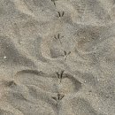 2024.11.23-25 강릉 여행 🐟