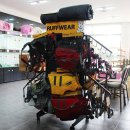 제주 헬로우펫 이미지