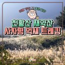 11/9~10/케이블카 타고 영남알프스 은빛물결 억새와 절정 단풍여행 이미지