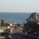 용호농장 이미지