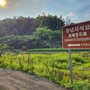 창녕 사리 지석묘 네이버블로그