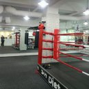 SH 다이어트 복싱 이미지