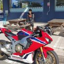 부안할매피순대 이미지