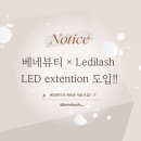대원검도관 | [서울/은평구] 역촌역 근처, 베네뷰티에서 핫한 Led 속눈썹 연장