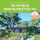 엠버여행사 이미지
