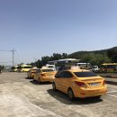 현대자동차 무안점 | 포항 흥해 운전면허학원 BEST 3: 초보도 단기 합격하는 최신 가이드