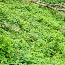 별숲 농장 이미지